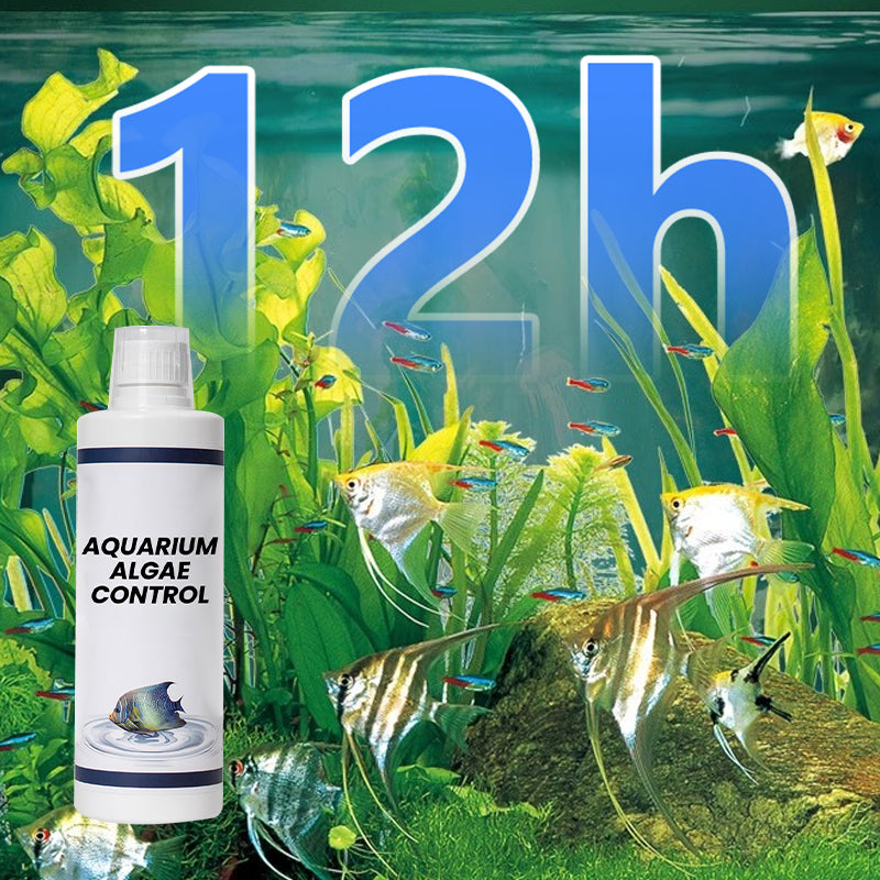 Control de las algas del acuario