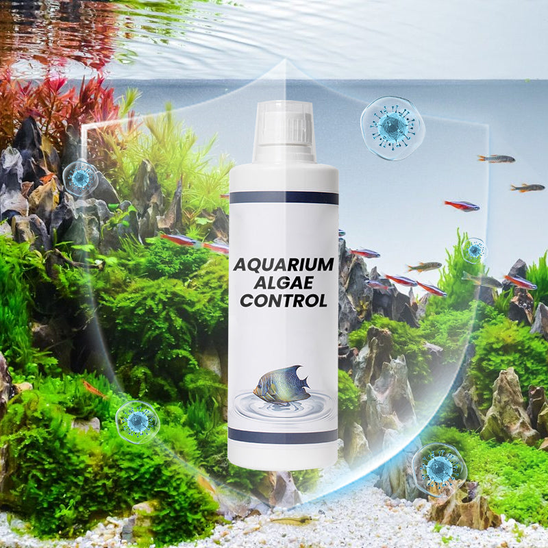 Control de las algas del acuario